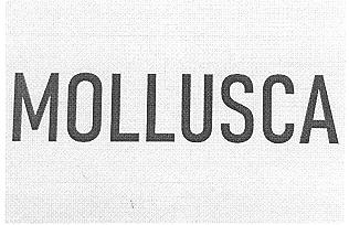 Prekės ženklas: MOLLUSCA